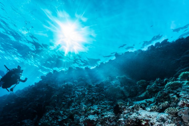 underwater view of the ocean