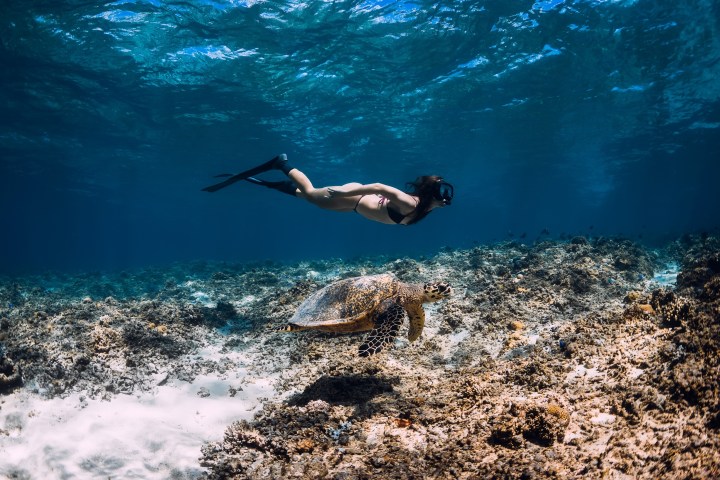 a man flying through the air while swimming in a body of water