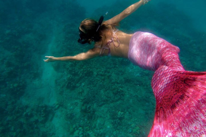 a person swimming in the water