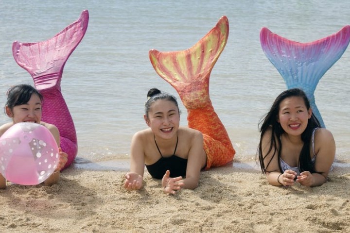 a group of people sitting at a beach