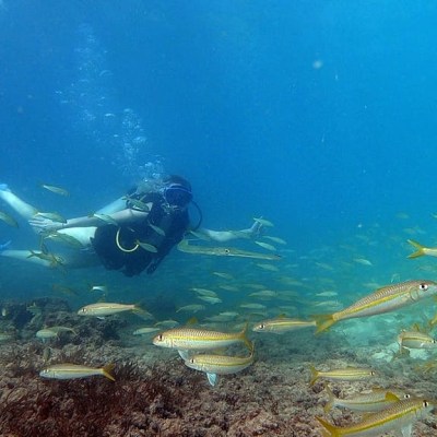 underwater view of the water
