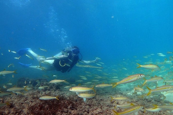 underwater view of the water