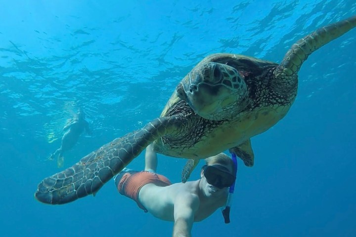Snorkeler taking a selfie with a sea turtle underwater in clear blue ocean.