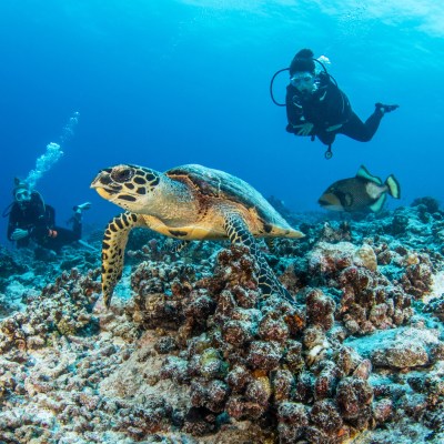 a person swimming in the water