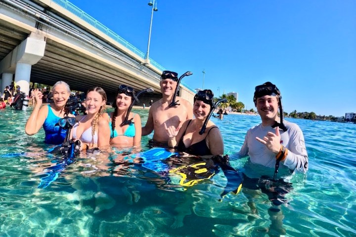 Six people in snorkeling gear standing in clear water near a bridge on a sunny day.