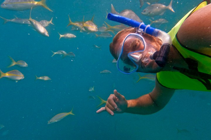 Person snorkeling underwater with fish swimming around.