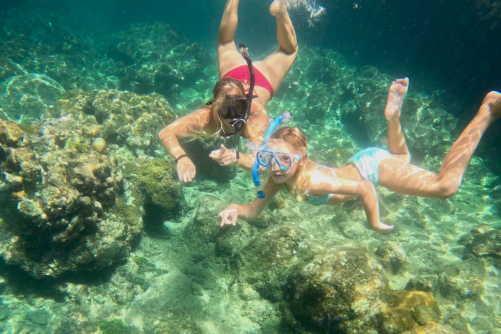 Two snorkelers underwater exploring coral reefs.